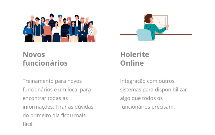 Novos Funcionários, Holerite Online